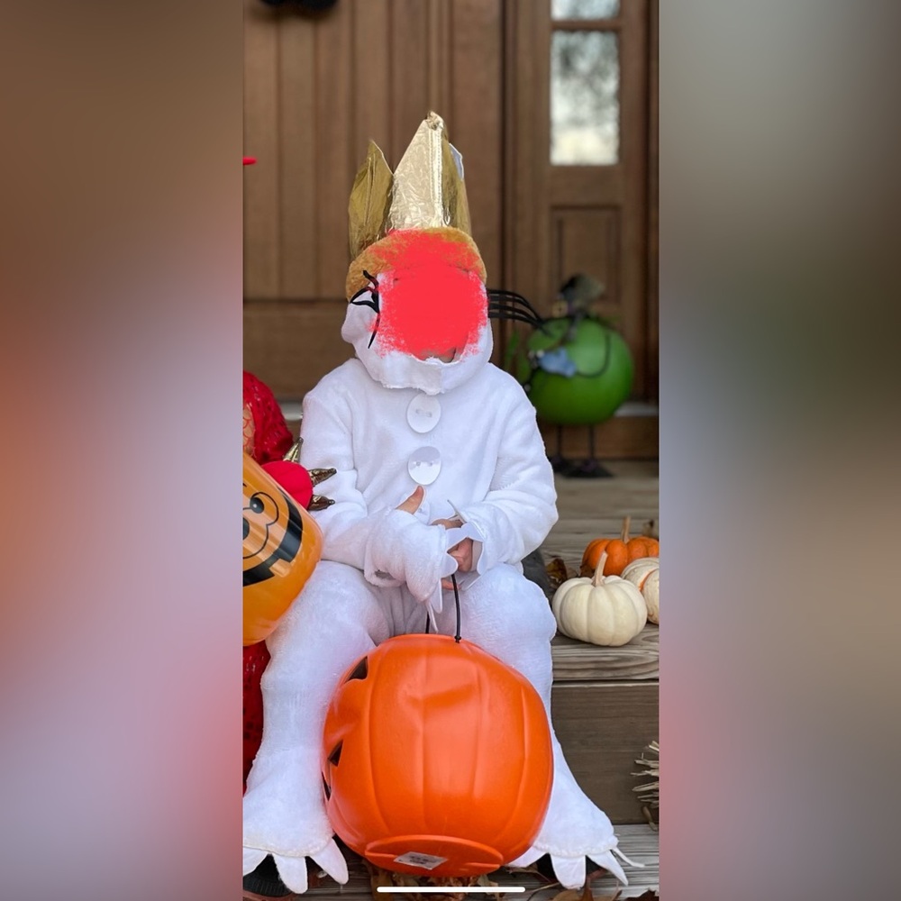 Where the wild things are Max costume